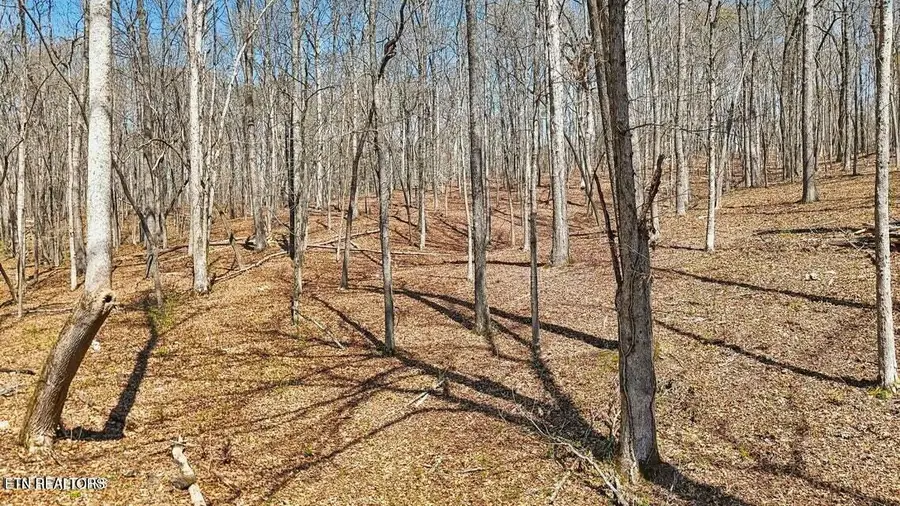 1300 Old Sugar Limb Rd, Loudon, TN 37774 - Image #3