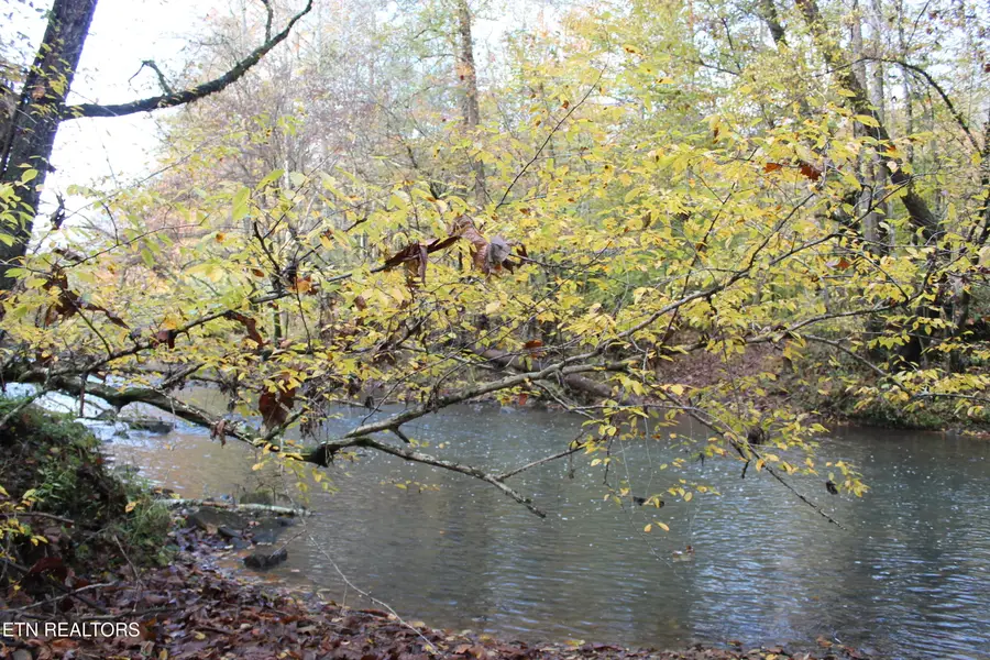 Baird Branch, Winfield, TN 37892 - Image #3