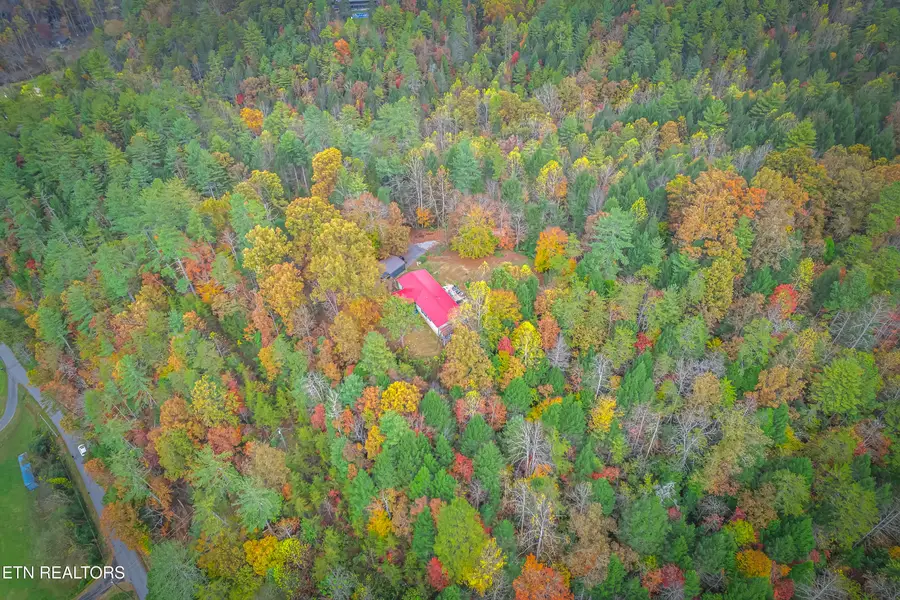 N Ball Hollow Rd, Sevierville, TN 37876 - Image #3