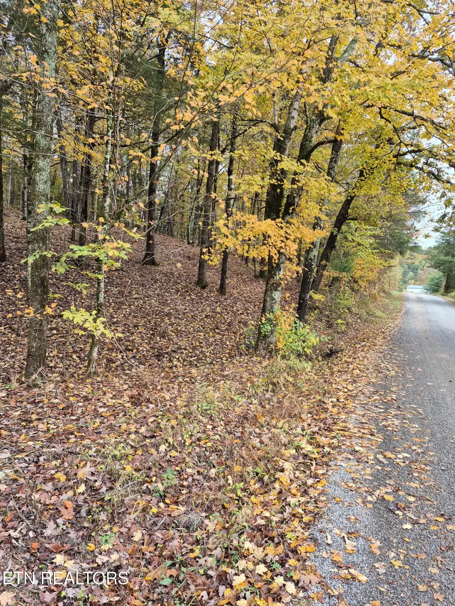 Jd Farm Rd, Tellico Plains, TN 37385 - Image #2