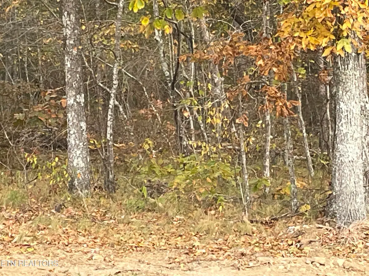 6504 Topez Drive, Crossville, TN 38572 - Image #1