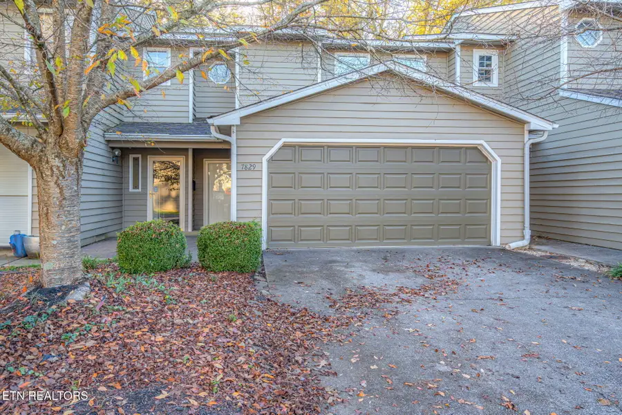 7829 Village Drive, Knoxville, TN 37919 - Image #3