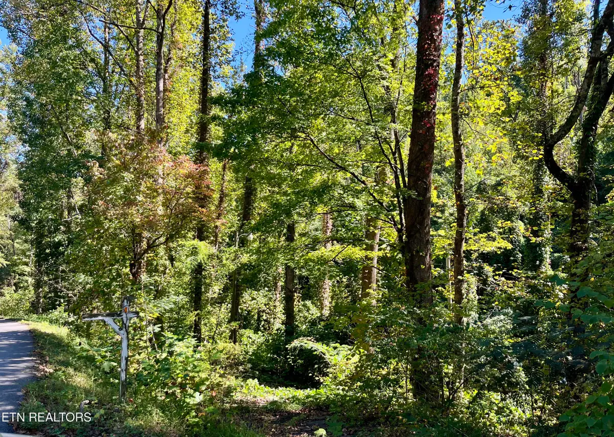 Lots 36-37 Cool Creek Rd, Sevierville, TN 37862 - Image #1