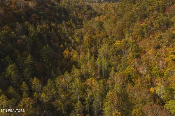 0 Livesay Chapel Rd, Kyles Ford, TN 37765