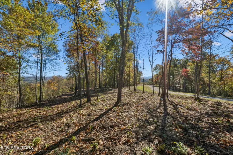 Sheep Ranch Rd, Robbins, TN 37852 - Image #2