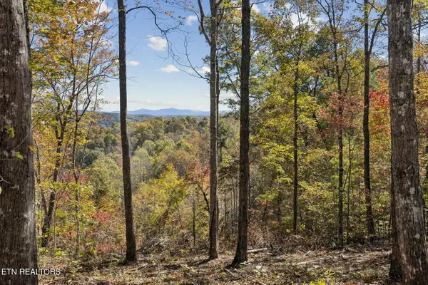 Sheep Ranch Rd, Robbins, TN 37852