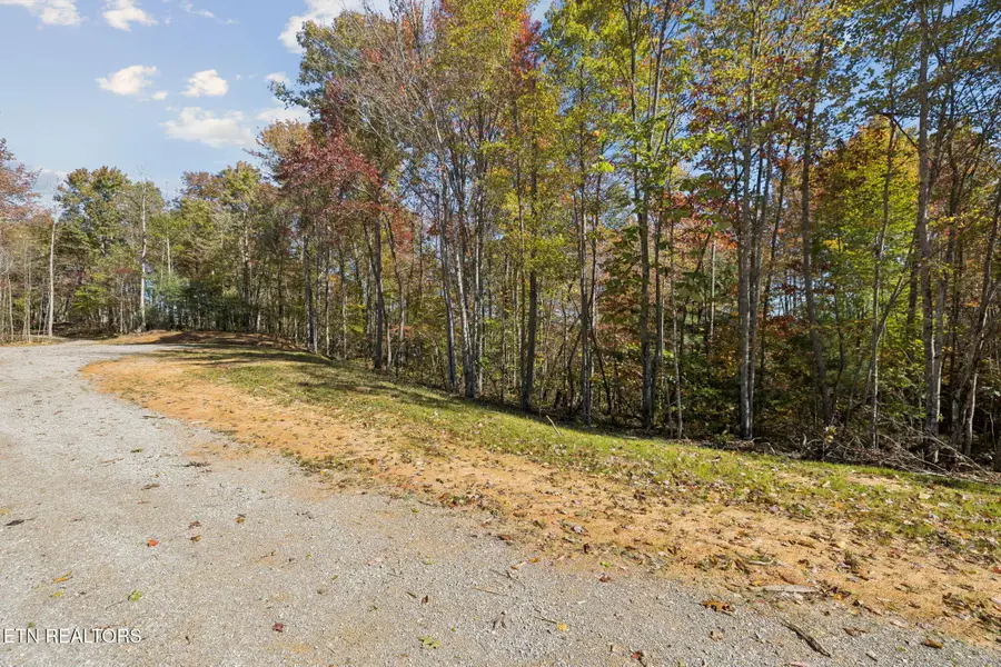 Sheep Ranch Rd, Robbins, TN 37852 - Image #3