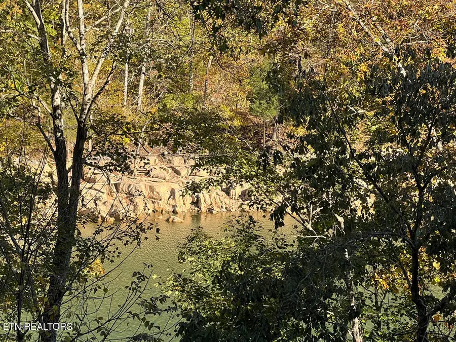 Lot 117 Saddleridge Drive, Speedwell, TN 37870 - Image #3