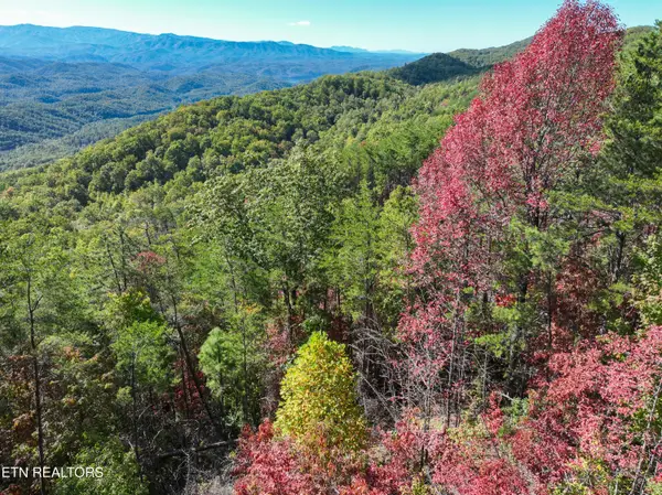 Lot #32 Chilhowee Tr, Maryville, TN 37803