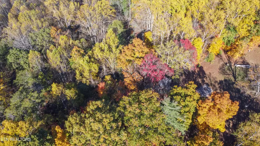 5547 Hutton Ridge Rd, Maryville, TN 37801 - Image #3