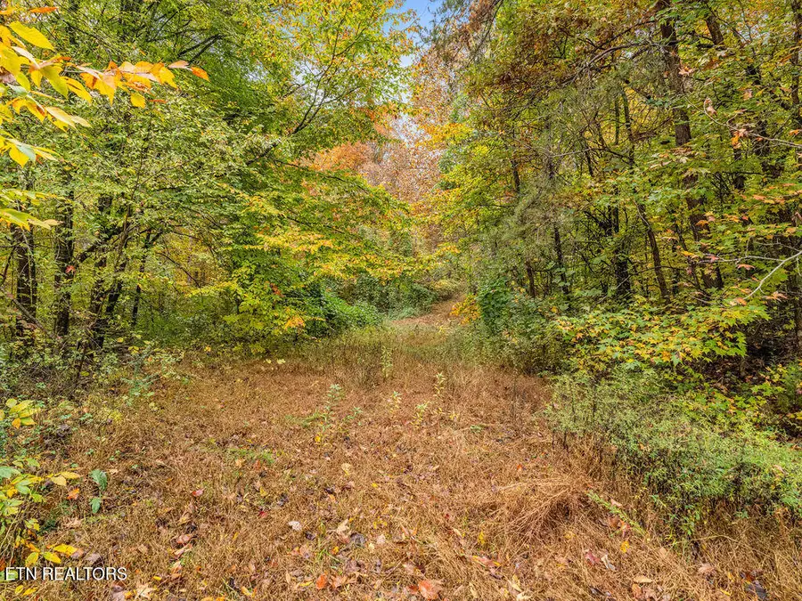 0 Mountie Lane, Knoxville, TN 37924 - Image #2