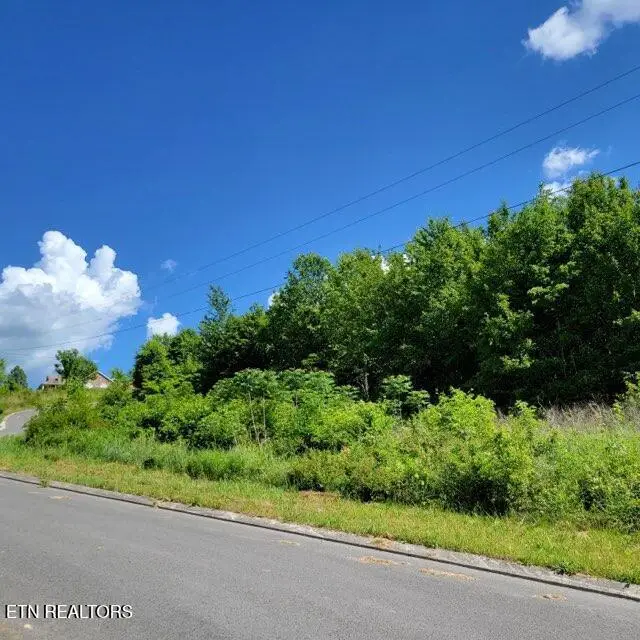 0 Hardin Rd, Dunlap, TN 37327 - #3