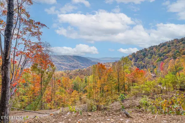 00 Buffalo Rd, Oneida, TN 37841