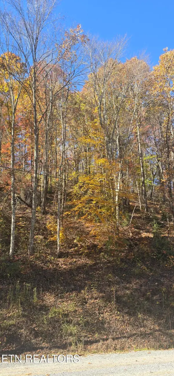 Emerald Springs Loop, Sevierville, TN 37862