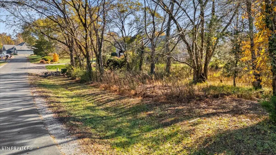 176 Dudi Tr, Vonore, TN 37885 - Image #3