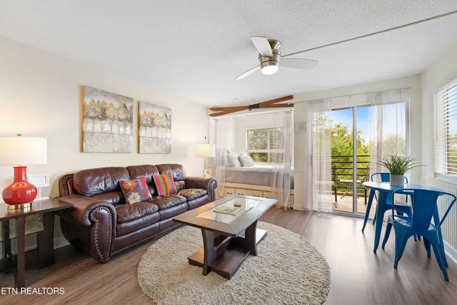 1260 Ski View Drive #APT 4103, Gatlinburg, TN 37738 - Image #2