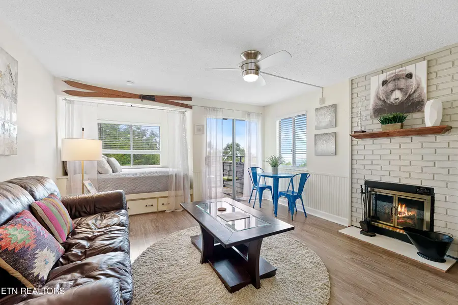 1260 Ski View Drive #APT 4103, Gatlinburg, TN 37738 - Image #3