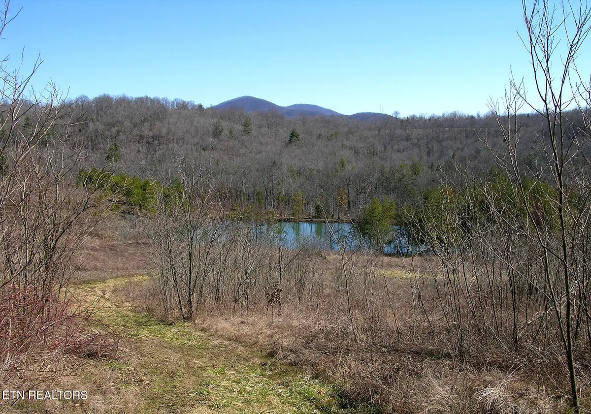 249 Arthur Mccormick Rd, Lancing, TN 37770 - Image #1