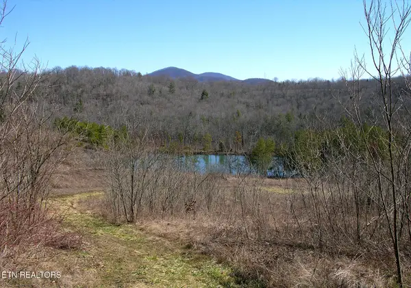 249 Arthur Mccormick Rd, Lancing, TN 37770