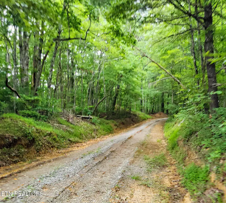 249 Arthur Mccormick Rd, Lancing, TN 37770 - Image #3