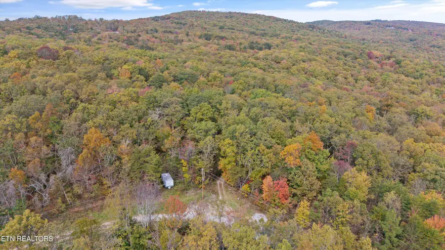 285 Raeanne Dr Drive, Spring City, TN 37381 - Image #3