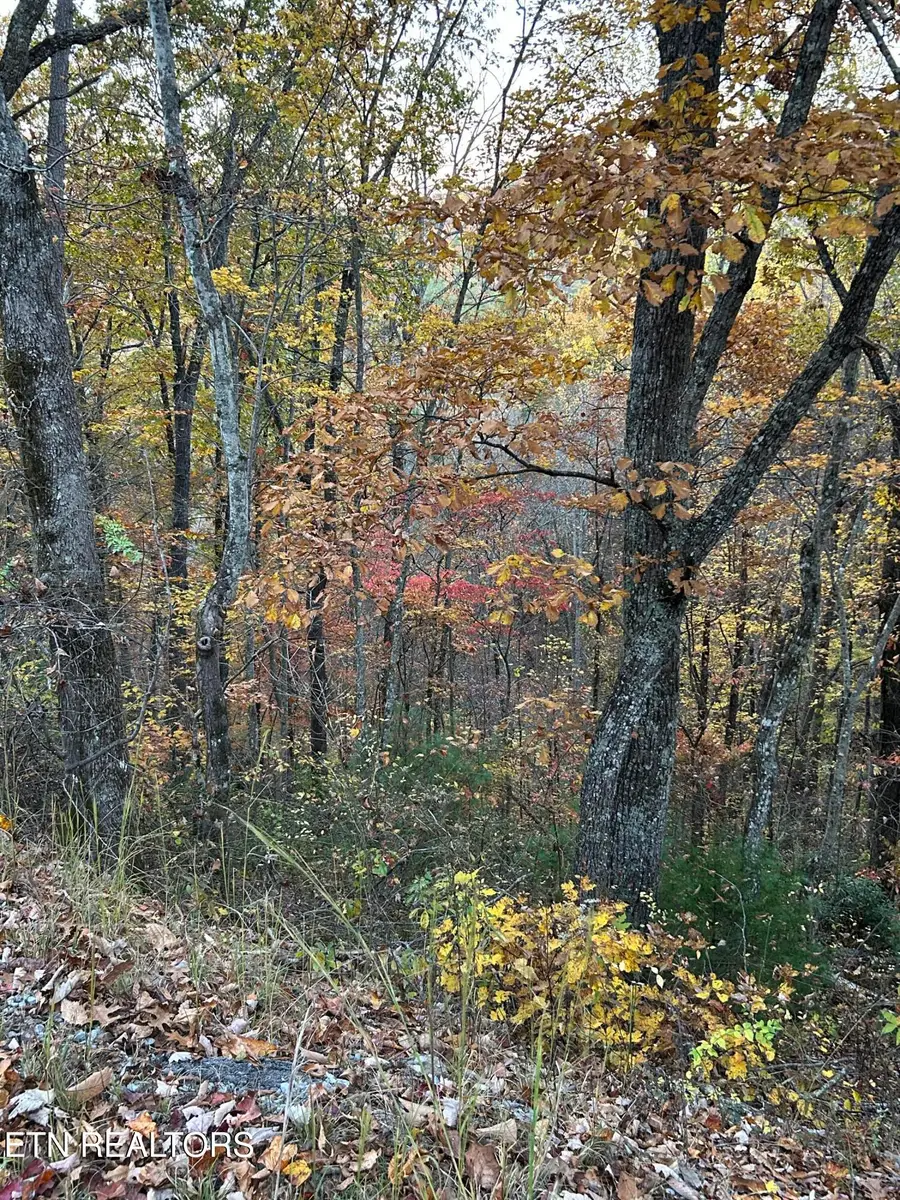 0001 Lot Sunset Rd, Sevierville, TN 37862 - Image #3