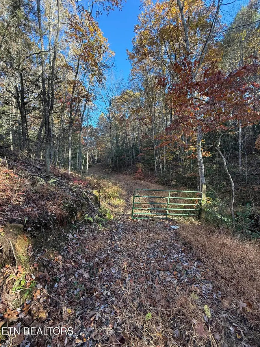 133 Megan Trace Lane, Turtletown, TN 37391 - Image #2