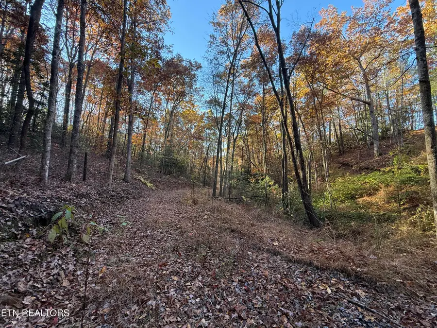 133 Megan Trace Lane, Turtletown, TN 37391 - Image #3