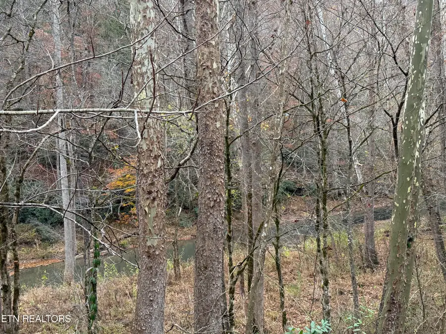 Stinking Creek Rd, Lafollette, TN 37766 - Image #3