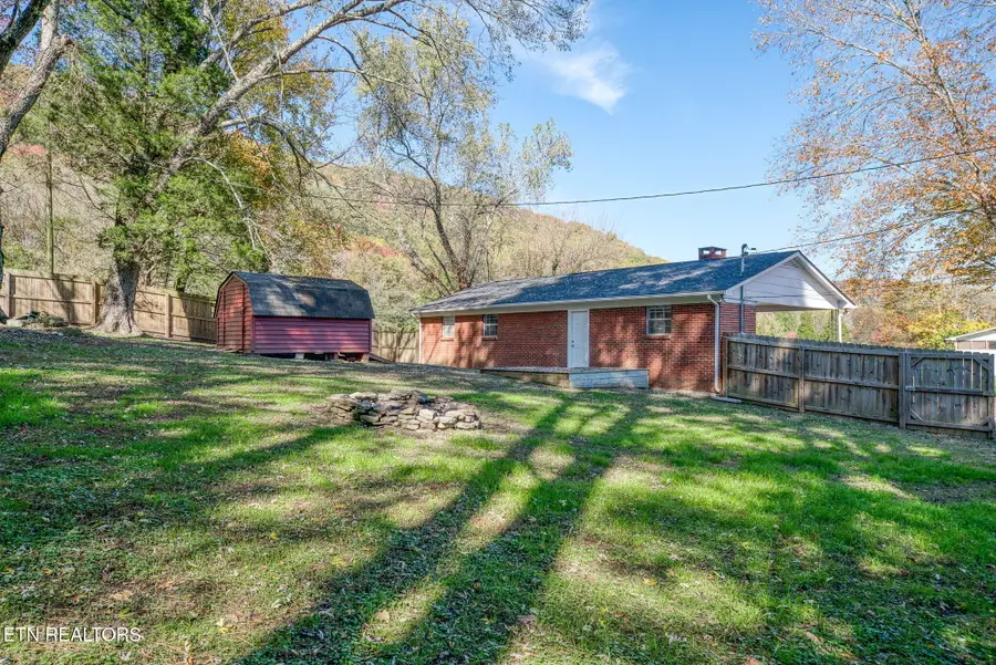 287 Watson Ave, Spring City, TN 37381 - Image #2