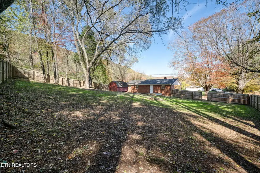 287 Watson Ave, Spring City, TN 37381 - Image #3
