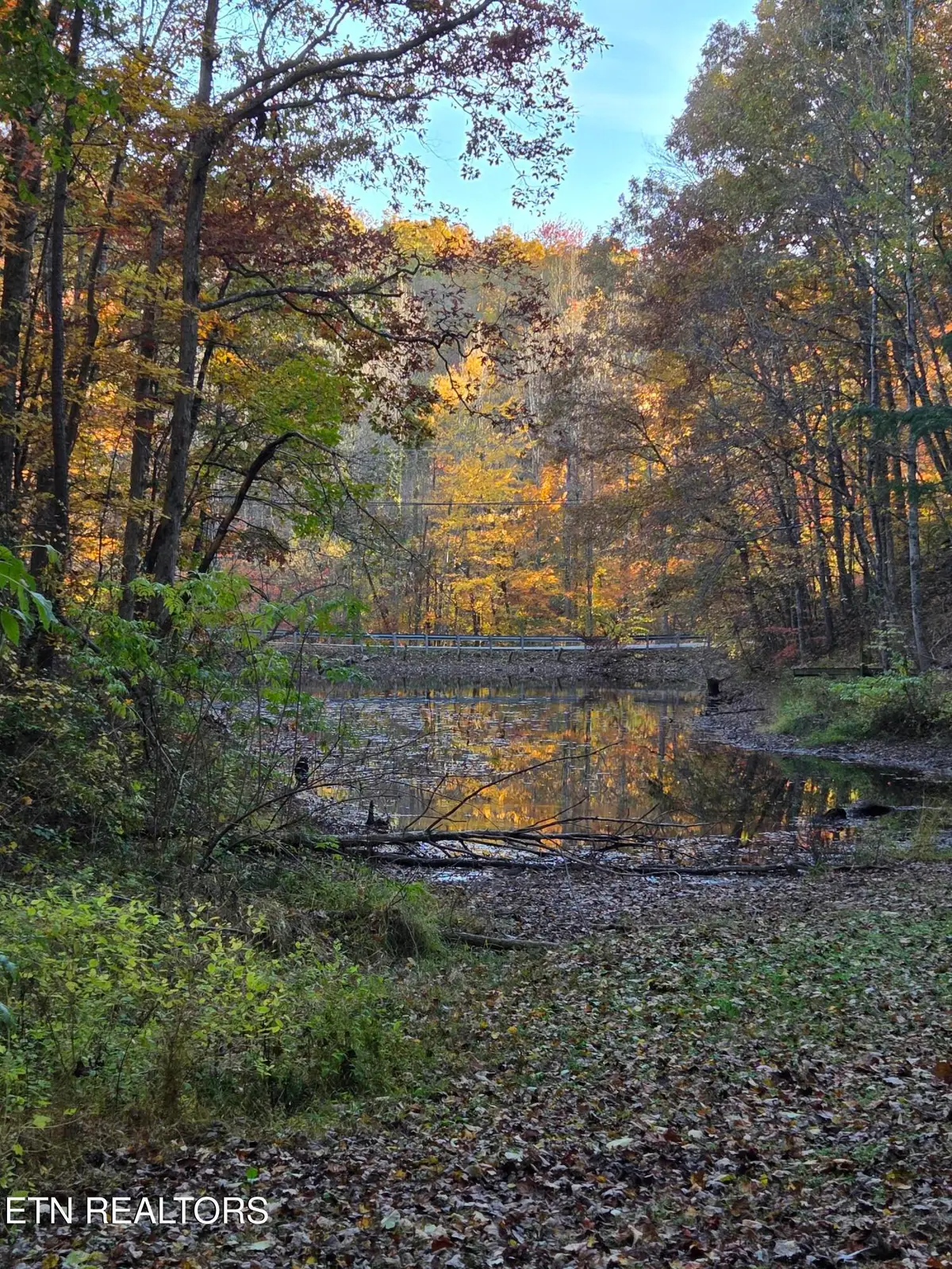 168 Pine Tr, Sevierville, TN 37876 - Image #1