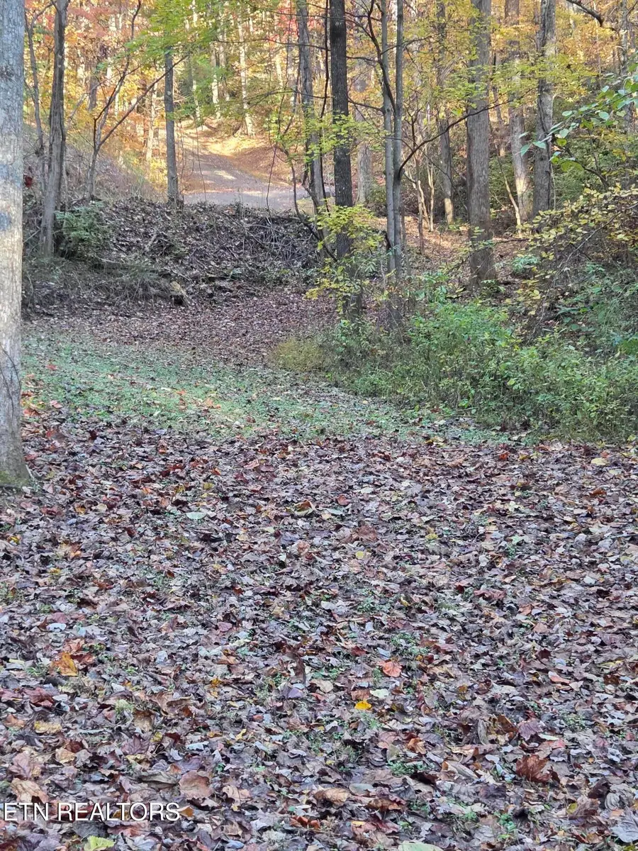 168 Pine Tr, Sevierville, TN 37876 - Image #2