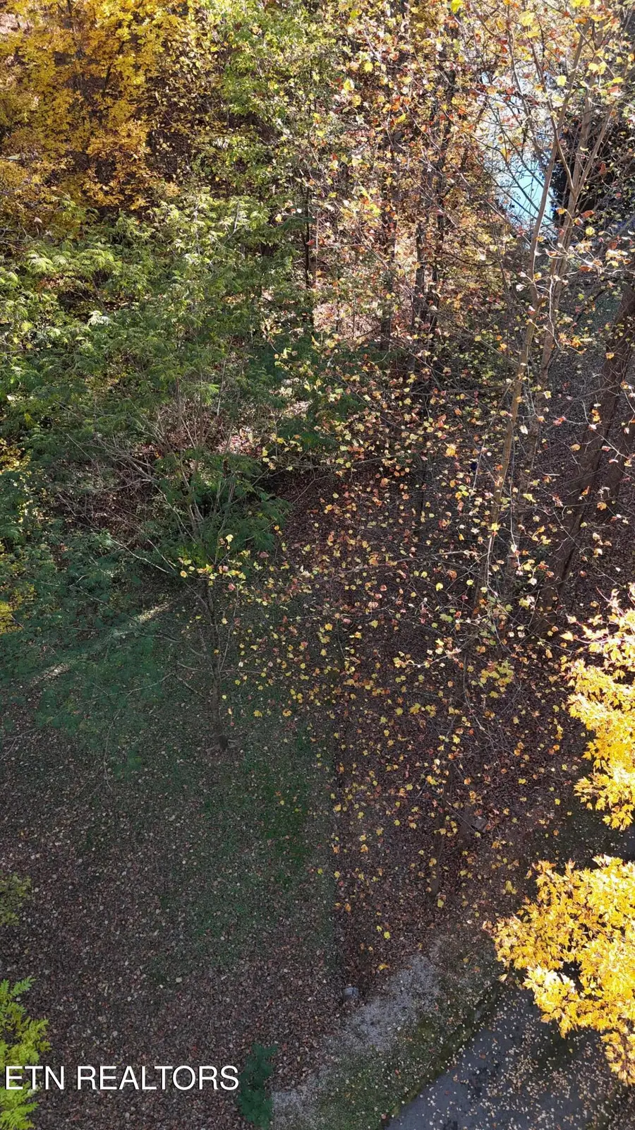 168 Pine Tr, Sevierville, TN 37876 - Image #3