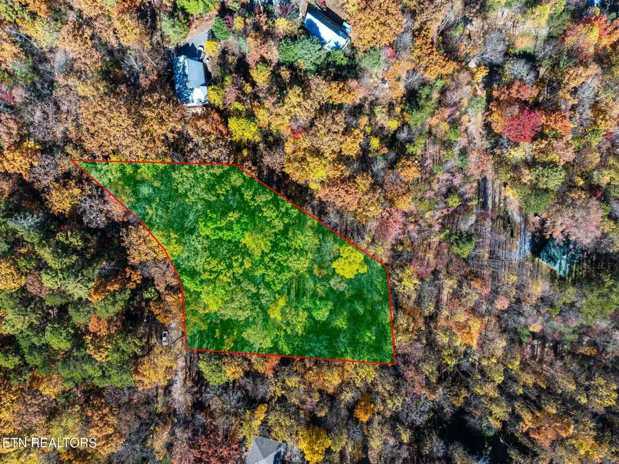 Grassy Branch Loop, Sevierville, TN 37876 - Image #3