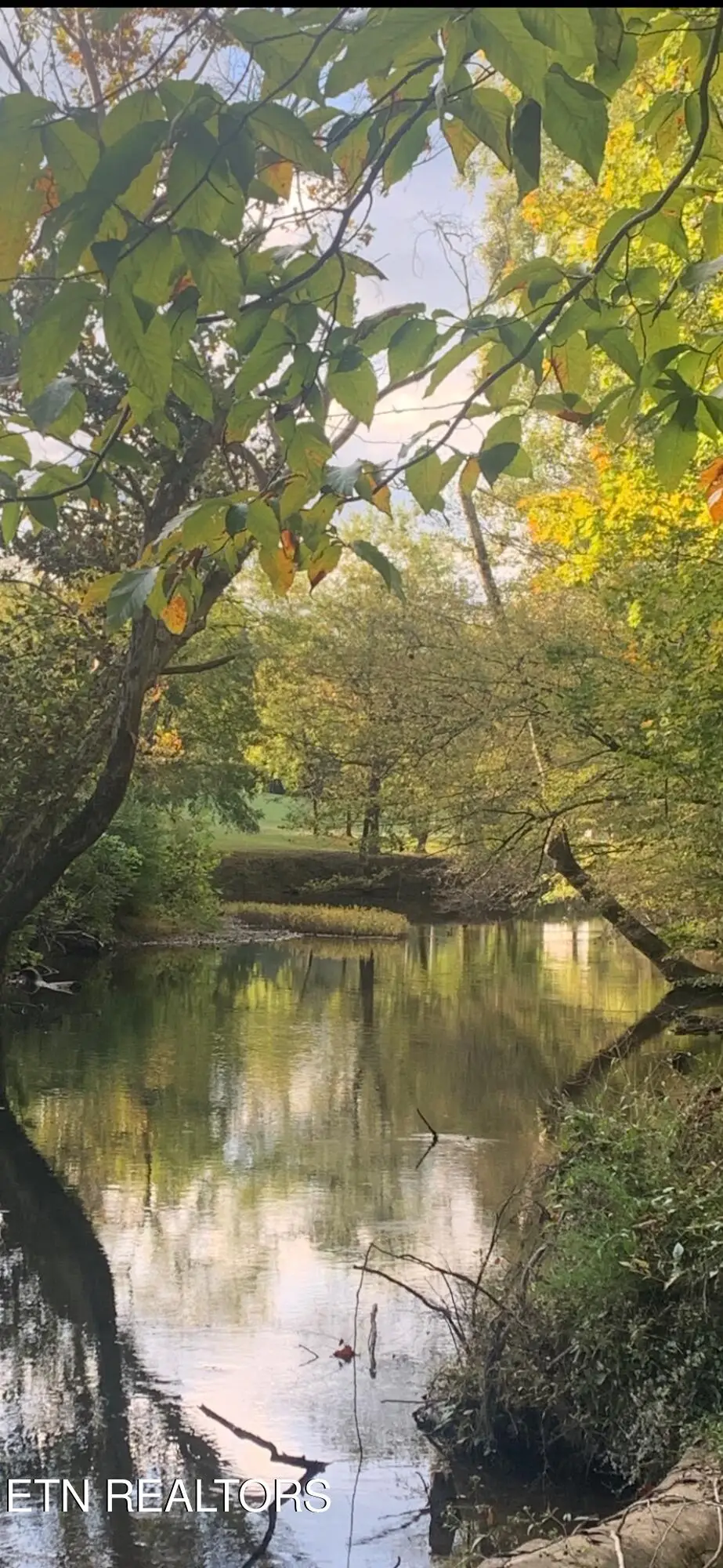 2168 Fairview Rd, Tellico Plains, TN 37385 - Image #1