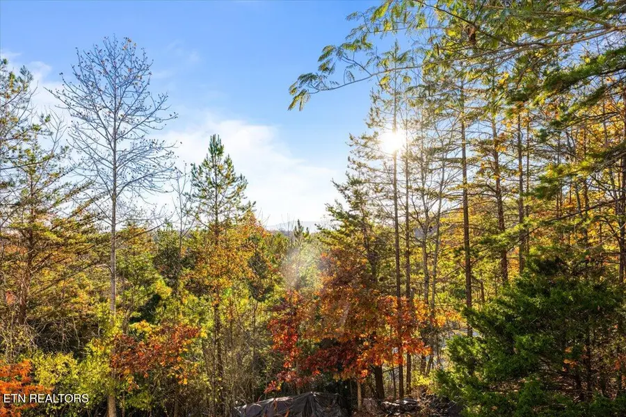 221 Stoney Rock Lane, Jacksboro, TN 37757 - Image #2