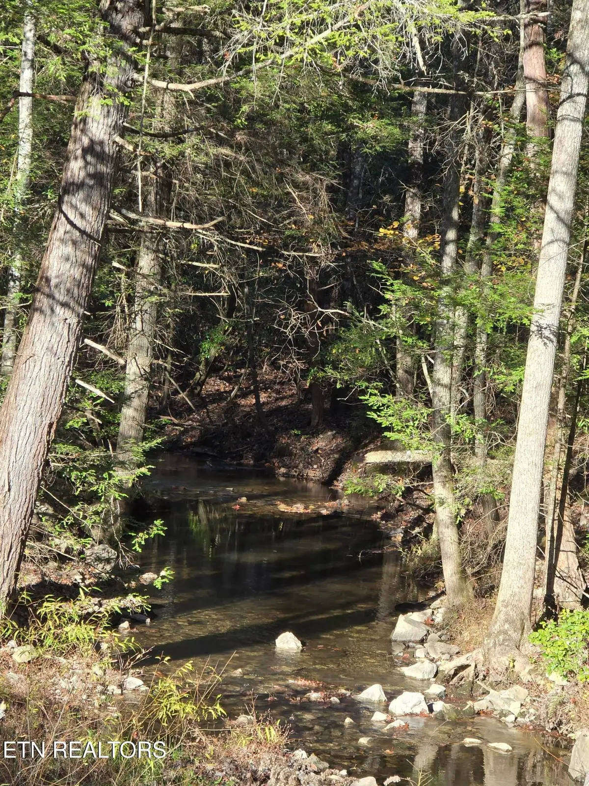 373 Georgee Rd, Jamestown, TN 38556 - Image #1