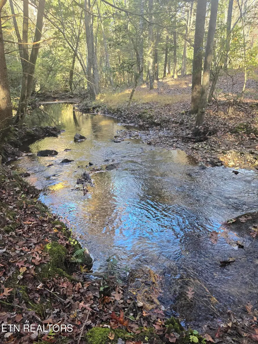 373 Georgee Rd, Jamestown, TN 38556 - Image #3