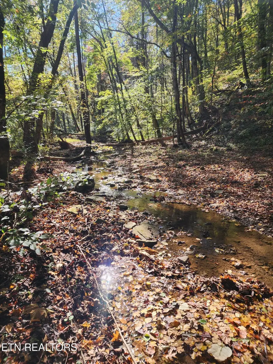 Terry Creek Lane, Pioneer, TN 37847 - Image #2