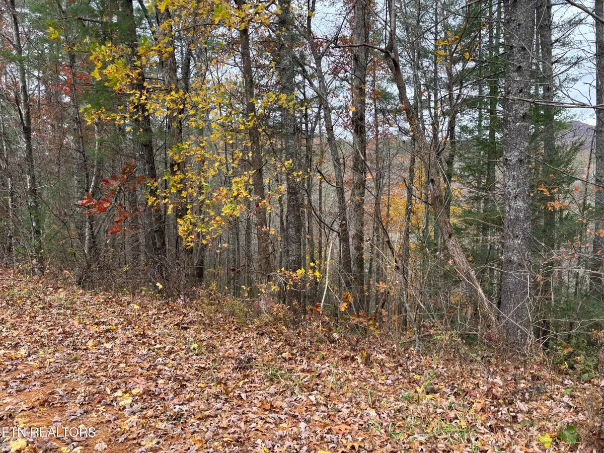 167 Balfour Drive, Harriman, TN 37748 - Image #1