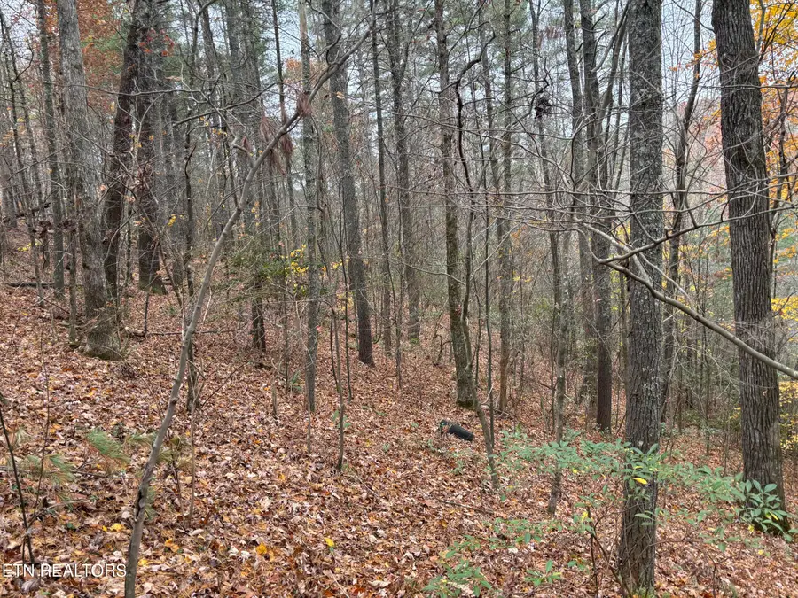 167 Balfour Drive, Harriman, TN 37748 - Image #2