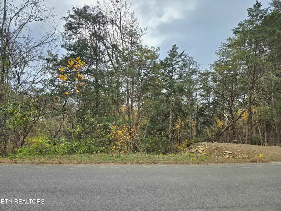 Lot 17 Scott St, Sevierville, TN 37876 - Image #2