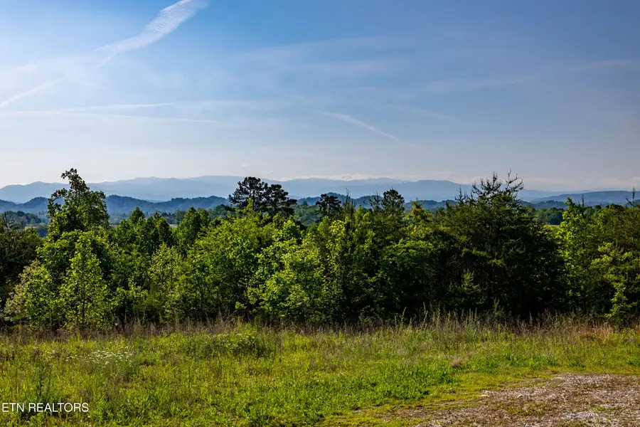 110 Garren Rd, Madisonville, TN 37354 - Image #3