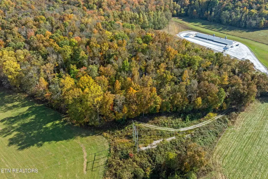 23 Acres Moore Cove Rd, Sparta, TN 38583 - Image #3