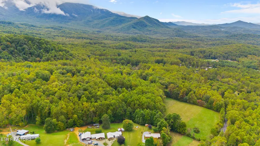 Mountain Laurel Way, Cosby, TN 37722 - #3