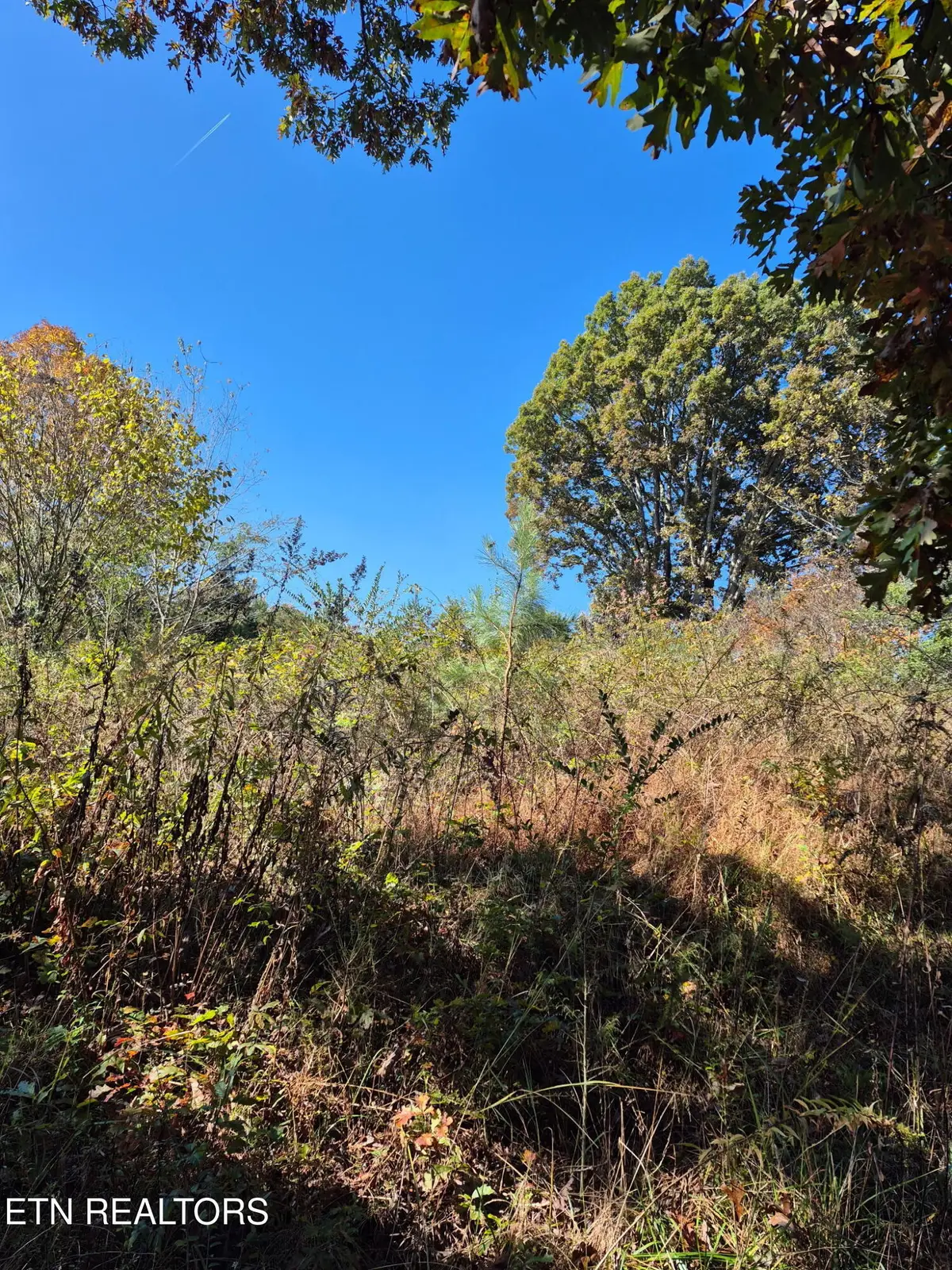 County Road 299, Sweetwater, TN 37874 - Image #1