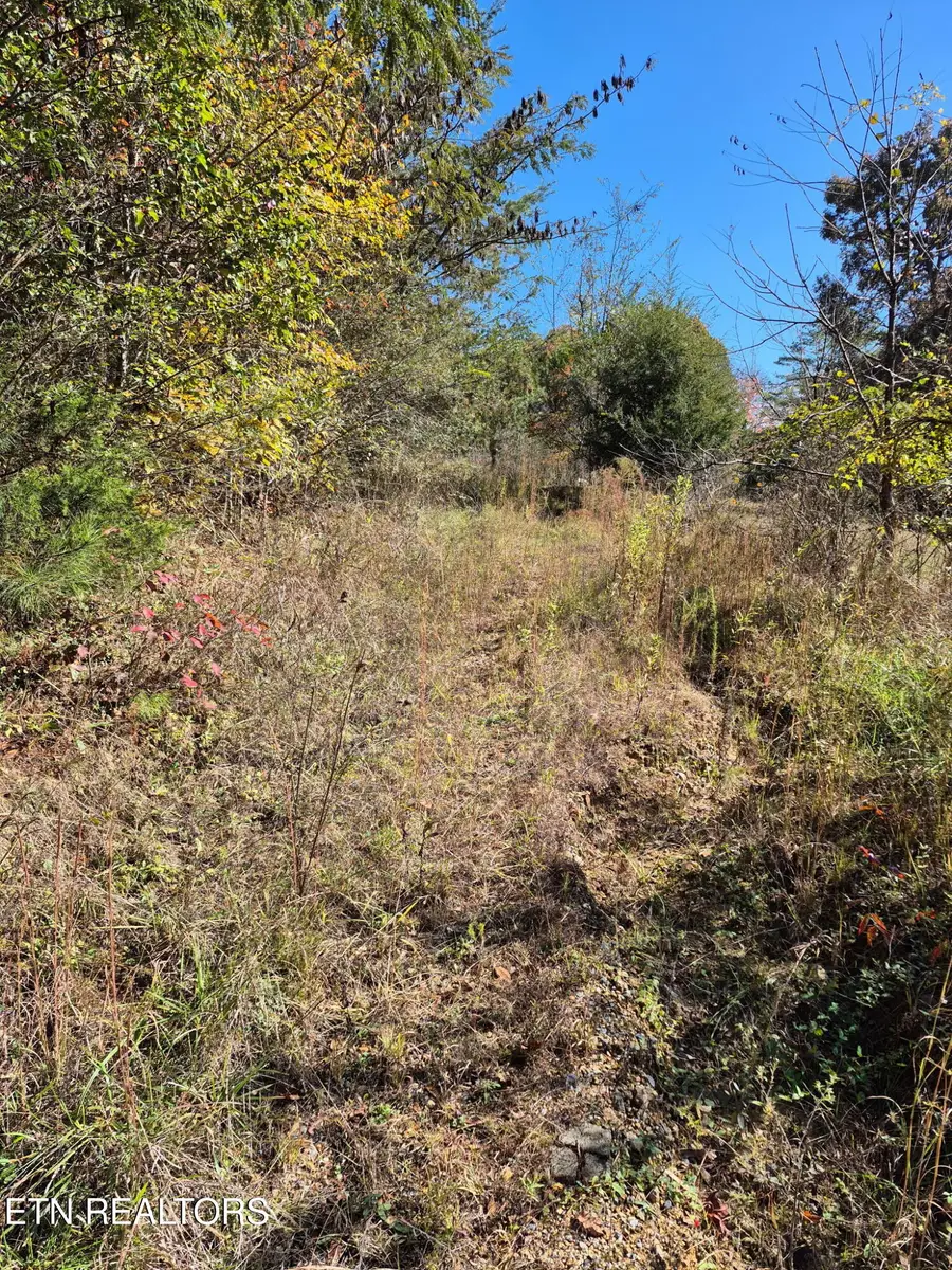 County Road 299, Sweetwater, TN 37874 - Image #3