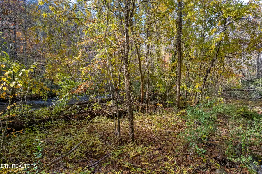 00 River Road, Tellico Plains, TN 37385 - Image #2