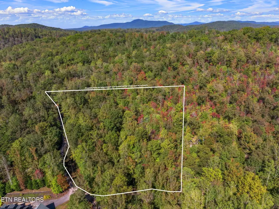 Tunnel Hill Rd, Harriman, TN 37748 - Image #3